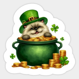 St Patricks Day Himalayan Cat Sticker